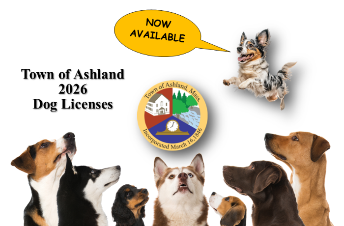 2026 Dog License Reminder Graphic Vr3